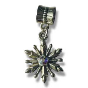 COPO AUSTRAL 2026 AÑO SIN PROBLEMAS