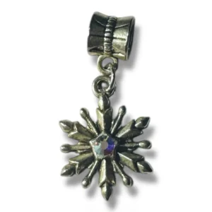 COPO AUSTRAL 2026 AÑO SIN PROBLEMAS