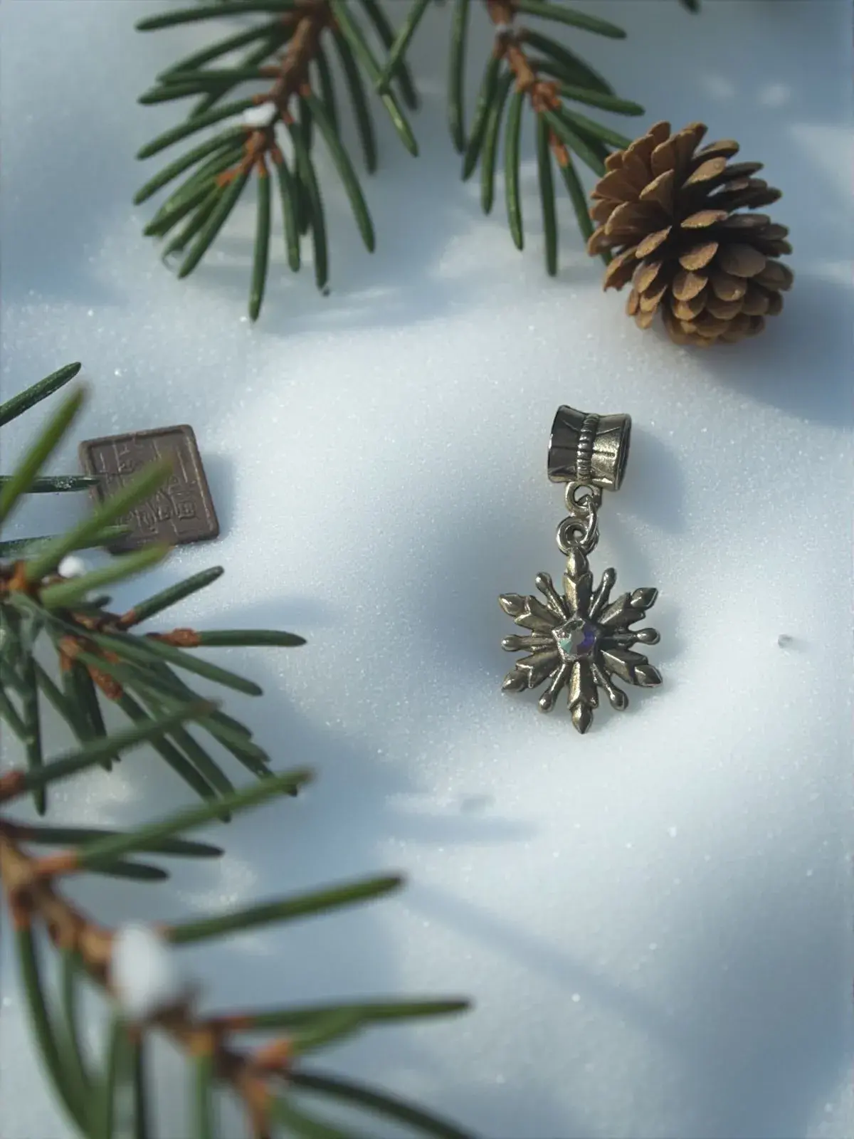 COPO AUSTRAL 2026 AÑO SIN PROBLEMAS - Imagen 4