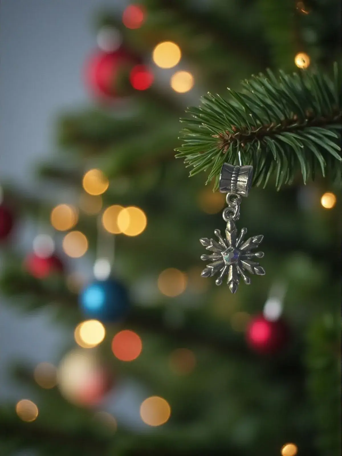 COPO AUSTRAL 2026 AÑO SIN PROBLEMAS - Imagen 3